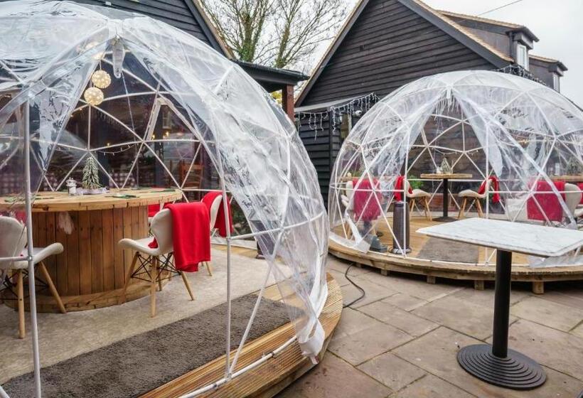 بنسيون The Limes