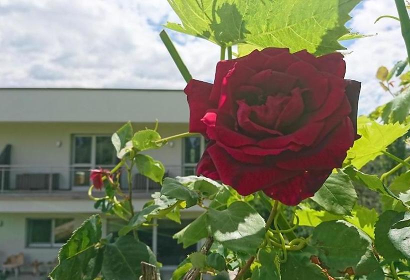 پانسیون Weingut Winzerzimmer Toso