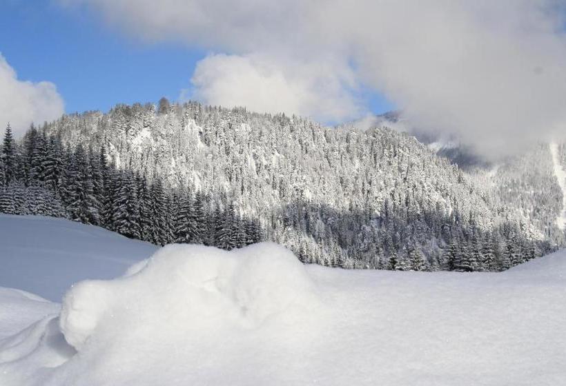 פנסיון Alpengasthof Oberweissbach
