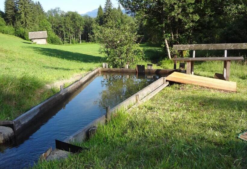 پانسیون Gästehaus Holzfeind