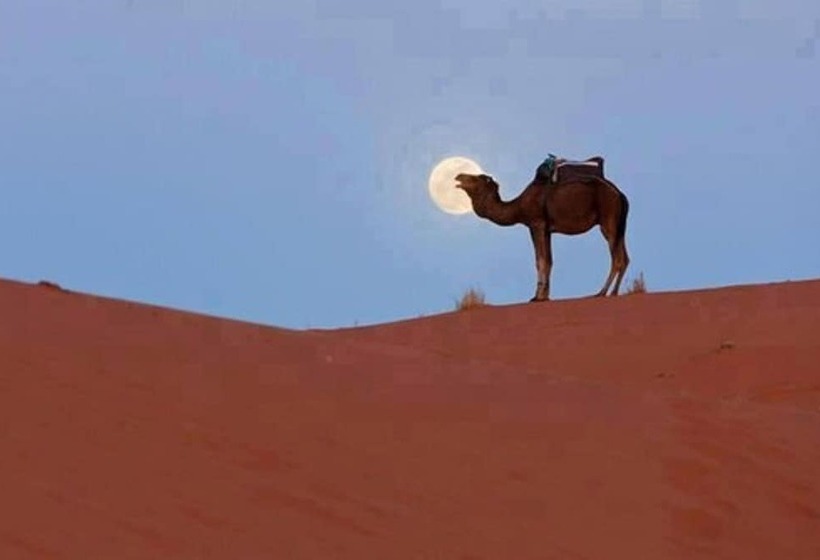 Hôtel Riad Tadarte Familier