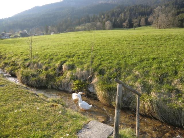 בית מלון כפרי Bunzbauernhof