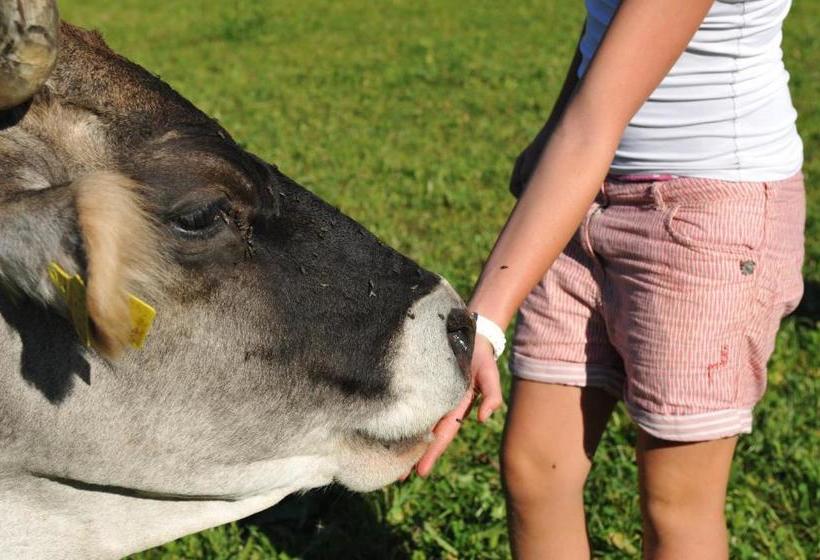 בית מלון כפרי Untersillerhof