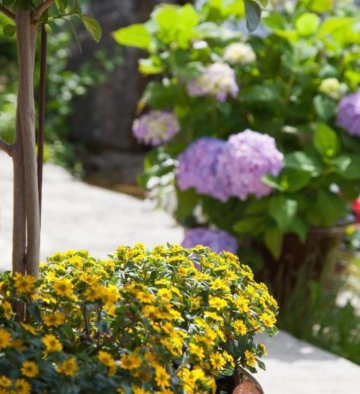 پانسیون Gästehaus Behle Schäperken