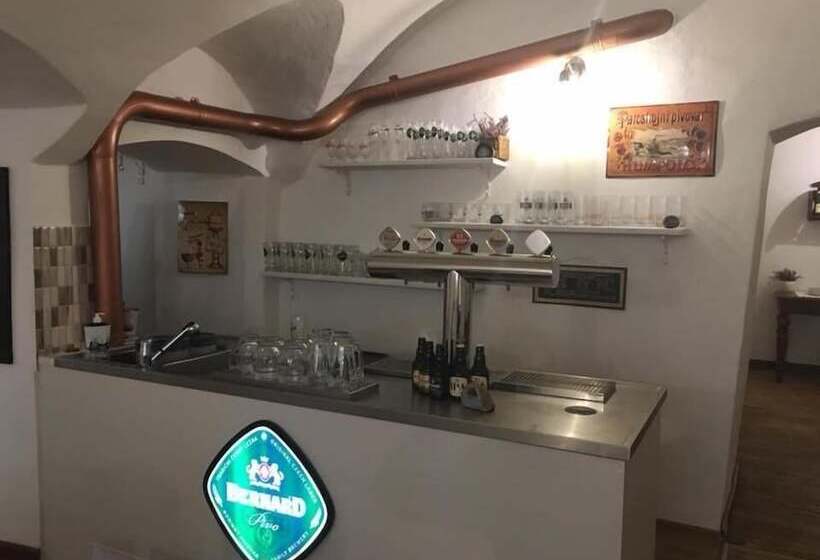 پانسیون Penzion U Lucerny