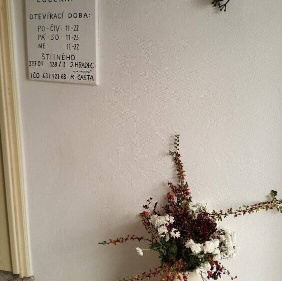 پانسیون Penzion U Lucerny