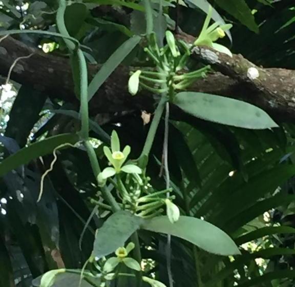 پانسیون Villa Ma Rasai