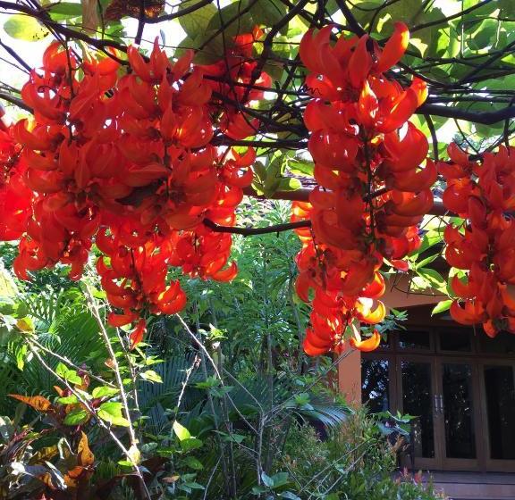 پانسیون Villa Ma Rasai