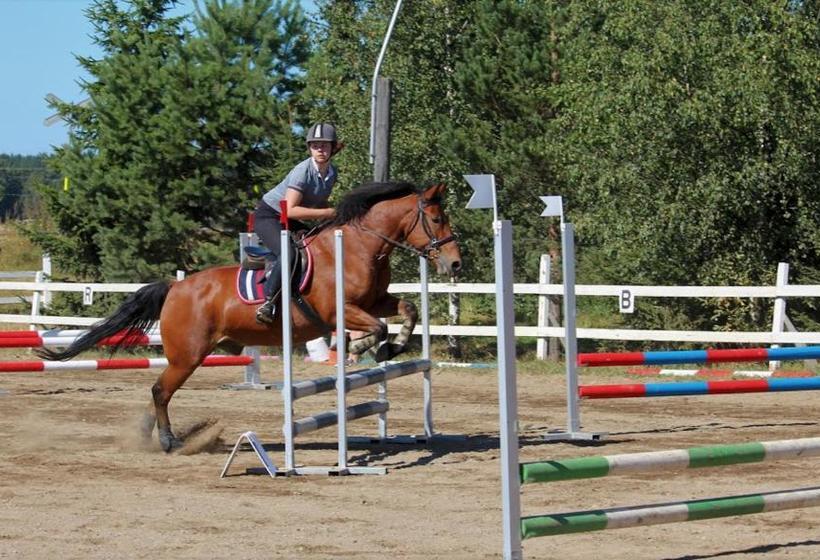 ホテル Ilola Maatilamatkailu