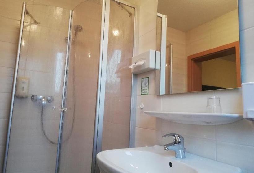 פנסיון Landhotel Vosse Schepers