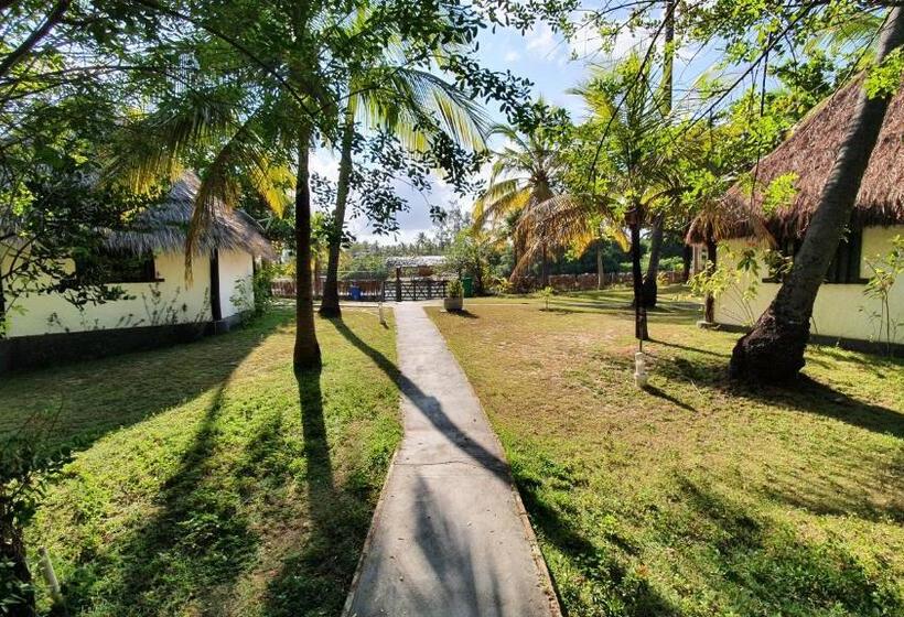 פנסיון Pousada Entre As águas