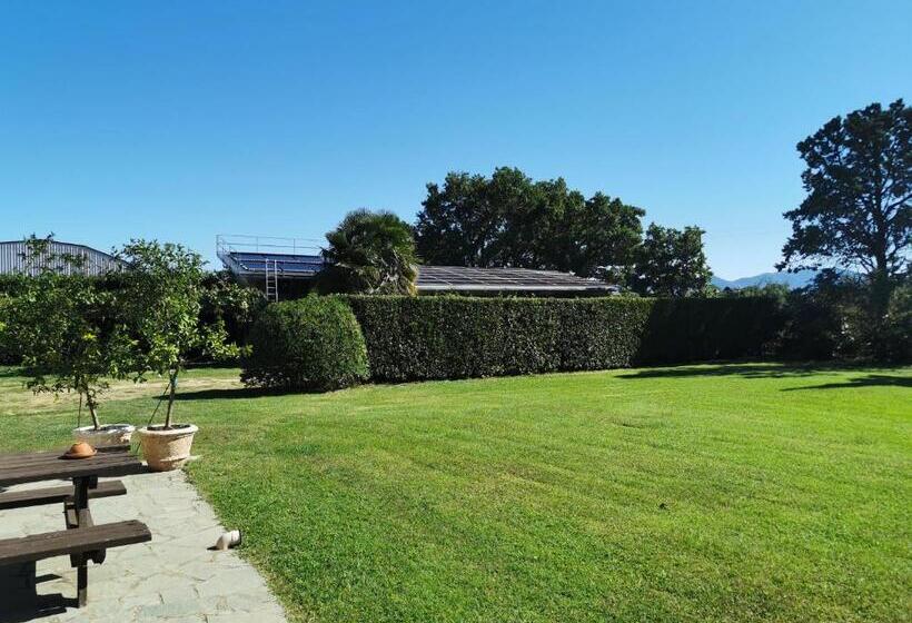 Bed and Breakfast Casale Dei Gelsi