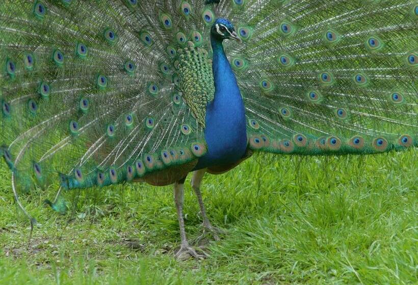 住宿加早餐  Villa Tranquillité