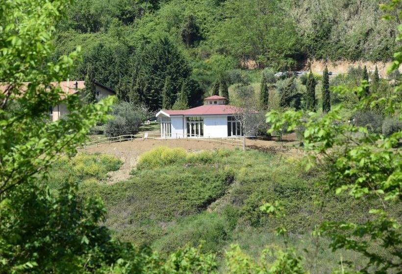 Отель Bio Agriturismo Valle Dei Calanchi