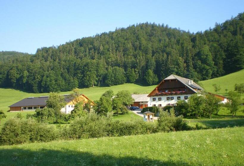 בית מלון כפרי Russbachbauer