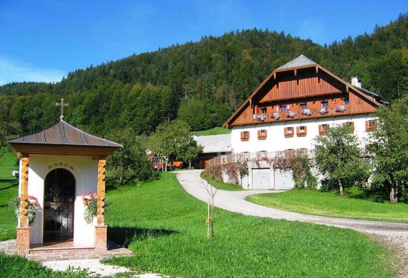 בית מלון כפרי Russbachbauer