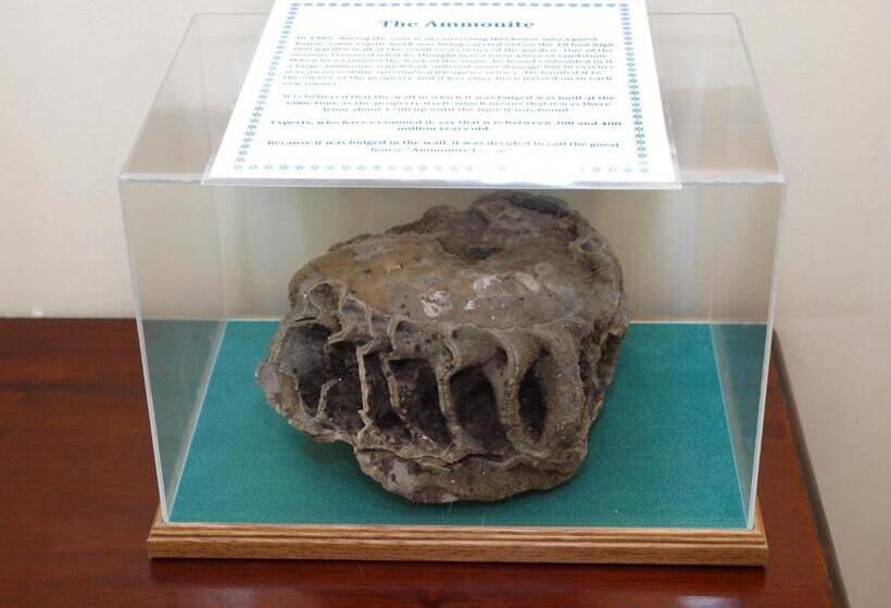 펜션 Ammonite Lodge
