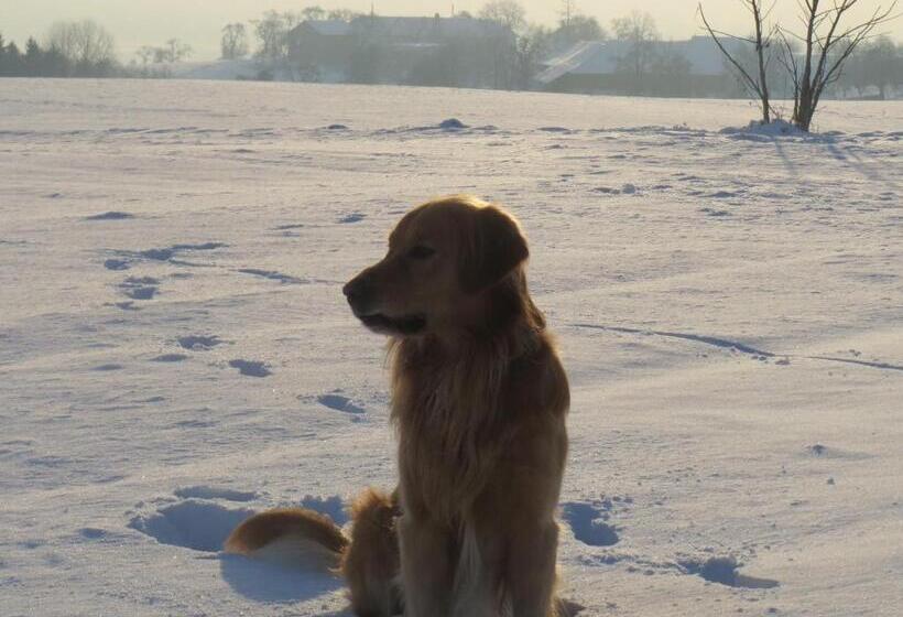 ペンション Gasthof Maly