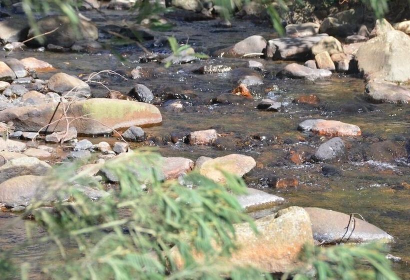 ペンション Rocky Drift Private Nature Reserve