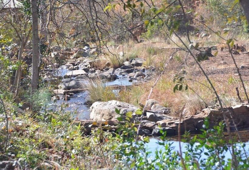 ペンション Rocky Drift Private Nature Reserve