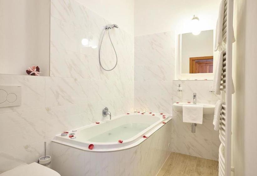 پانسیون Wellness Penzion U Muzea