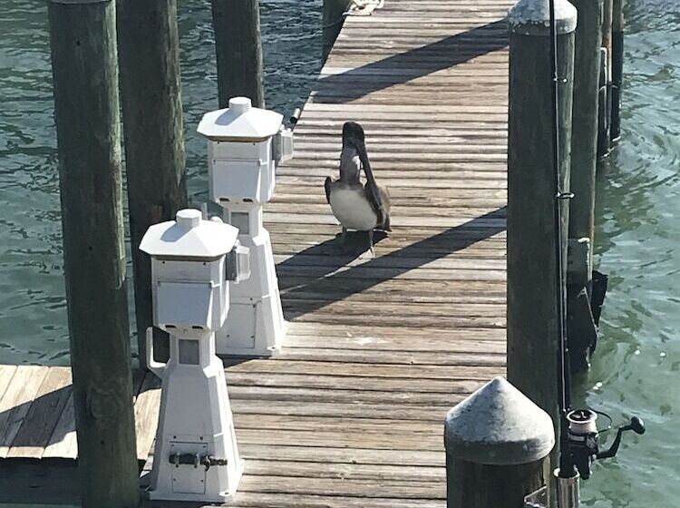 فندق صغير Holiday Isles Resort