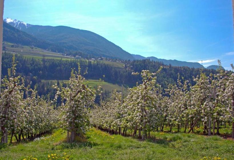 Отель Pension Thalerhof