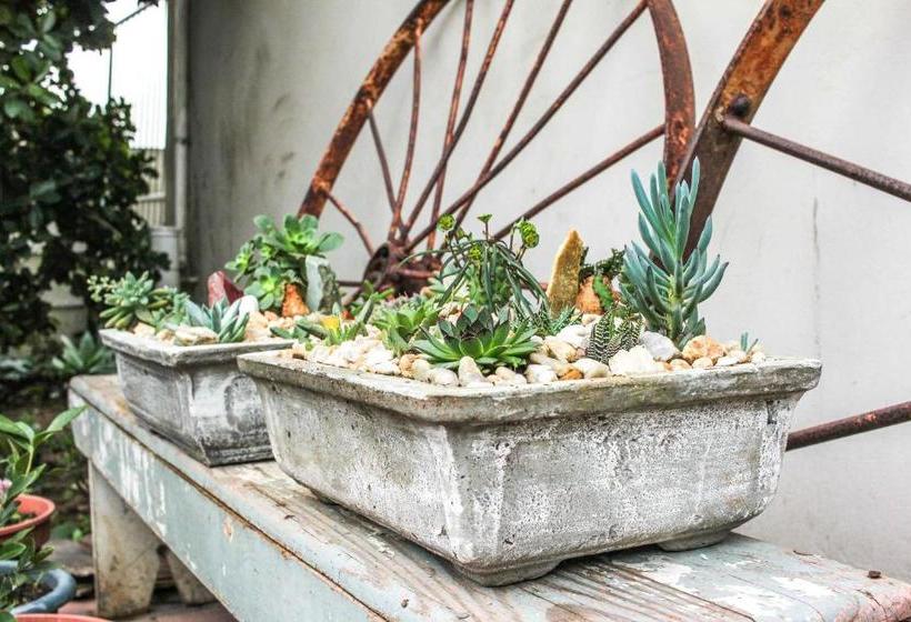 پانسیون Albert Road Garden Guest House