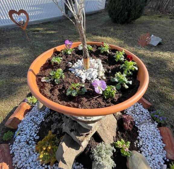 پانسیون Gästehaus Gertrude