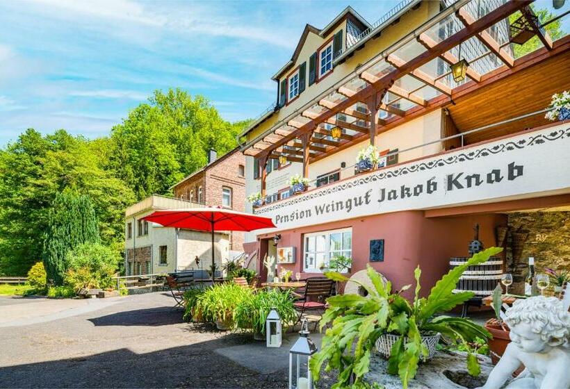 ペンション Gästehaus Knab's Mühlenschenke