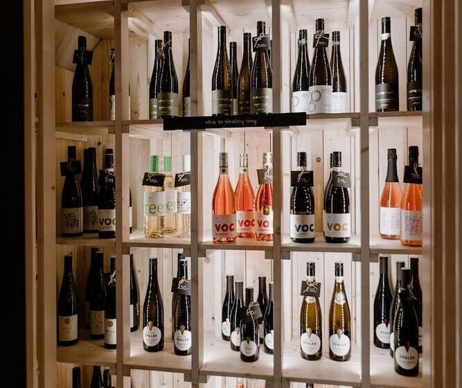 پانسیون Penzion Austis