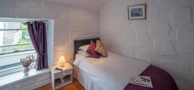 فندق صغير Finn Maccools Public House & Guest Inn