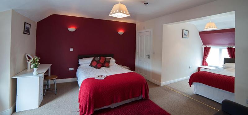 فندق صغير Finn Maccools Public House & Guest Inn