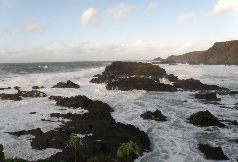 فندق صغير Hartland Quay