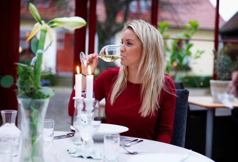 پانسیون Blåsingsborgs Gårdshotell