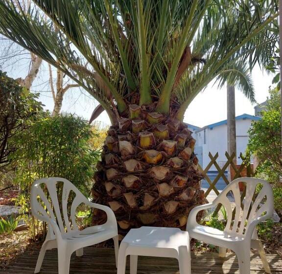 פנסיון La Villa Vert Marine