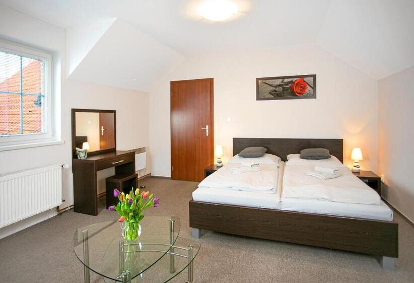 پانسیون Penzion Vion