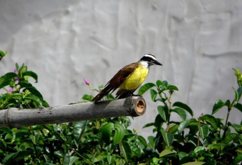 پانسیون Pousada O Refúgio