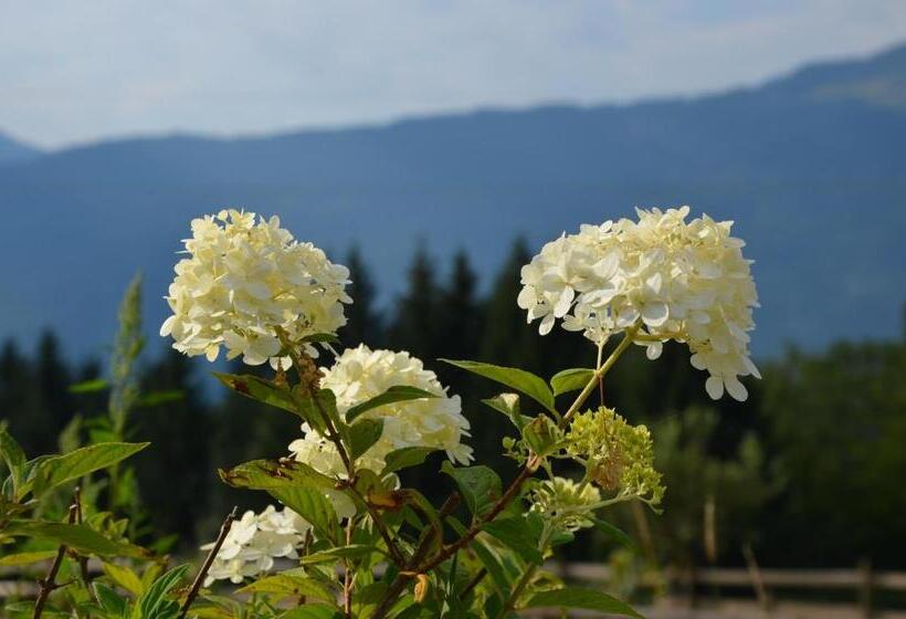 旅馆 Naturgut Gailtal