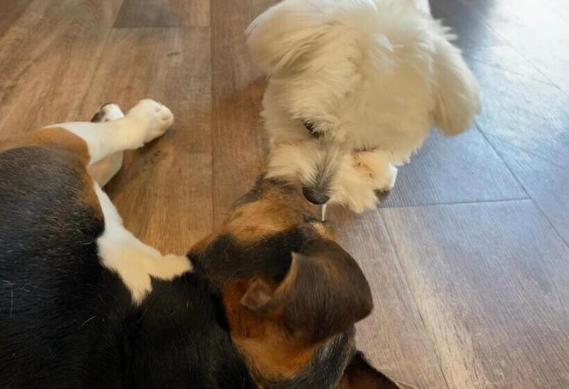 住宿加早餐  Margaréta Garden & Spa