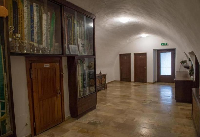 בית מלון כפרי Blaue Traube