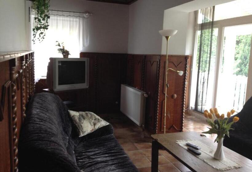 ペンション Györgyi Haus