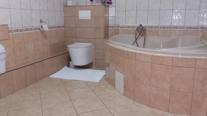 پانسیون Penzion U šelongů