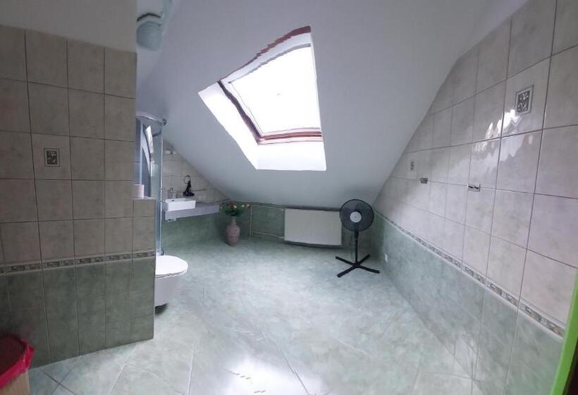 پانسیون Penzion U šelongů