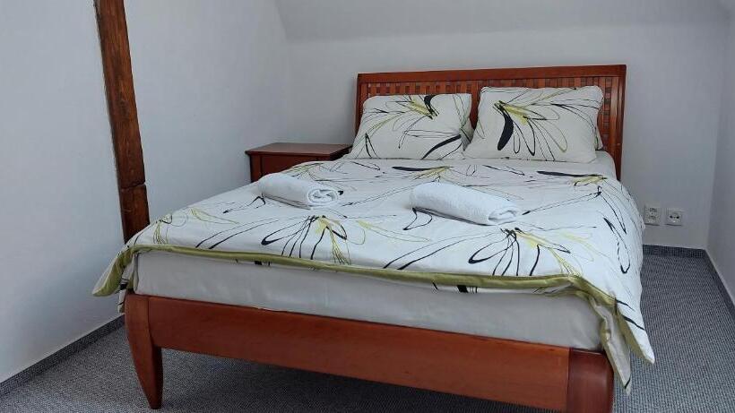 پانسیون Penzion U šelongů