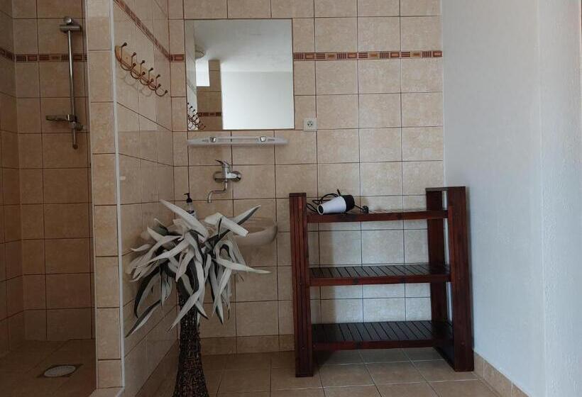 پانسیون Penzion U šelongů