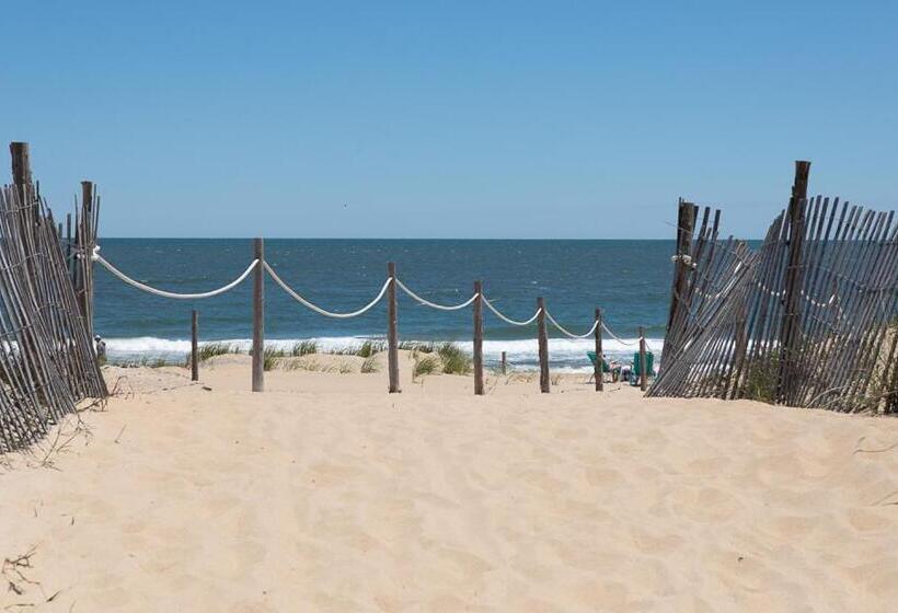 فندق صغير Atlantic Coast Inn