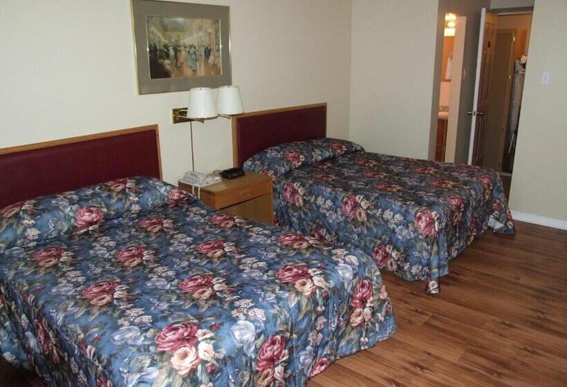 هاستل Haven Inn
