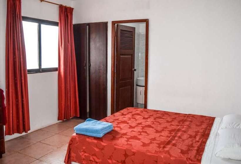 هاستل Hostal Humpback Internacional