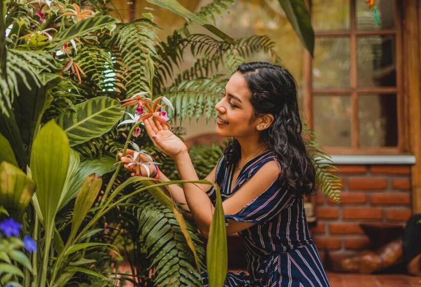 فندق صغير Hostal Las Palmas